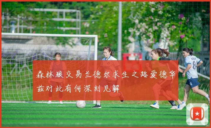 森林狼交易兰德尔求生之路爱德华兹对此有何深刻见解